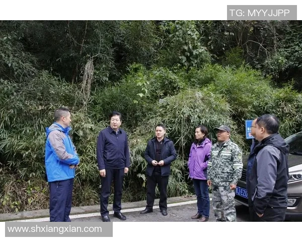 深圳攀岩队区域防守分析与战术调整的深度探讨