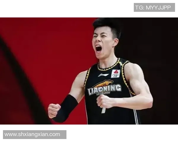 深圳篮球队强势领跑最新篮球力量榜单TOP10全解析